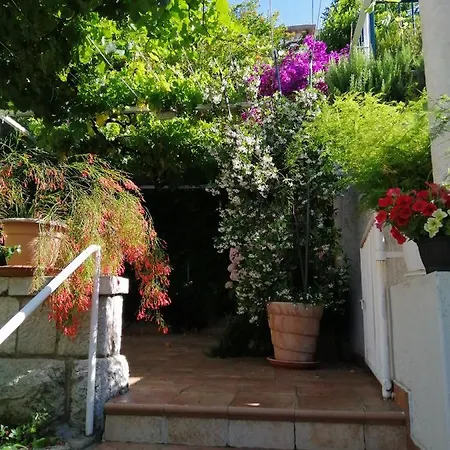 Apartment Jelen