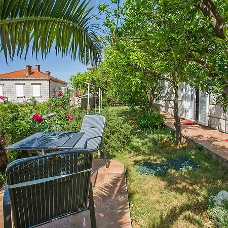 Apartment Jelen